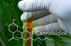 cannabidiol-vial-615×400